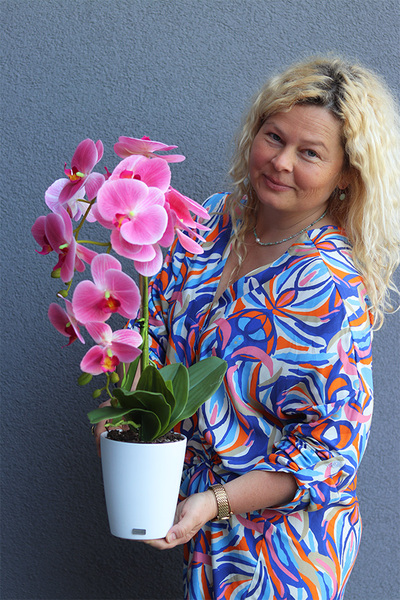 Pink Basics, gumowy storczyk w białej donicy