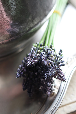 Szafirki, bukiecik niebieski, dł.25cm, 12szt. w bukiecie