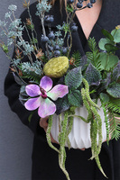 Hiltonia, kompozycja kwiatowa