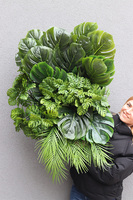 Sopot Cocktail Bar, ścianka jednostronna ze sztucznych roślin