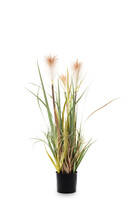 sztuczna trawa Pióropusze, beige, wys.80cm