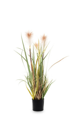 sztuczna trawa Pióropusze, beige, wys.80cm