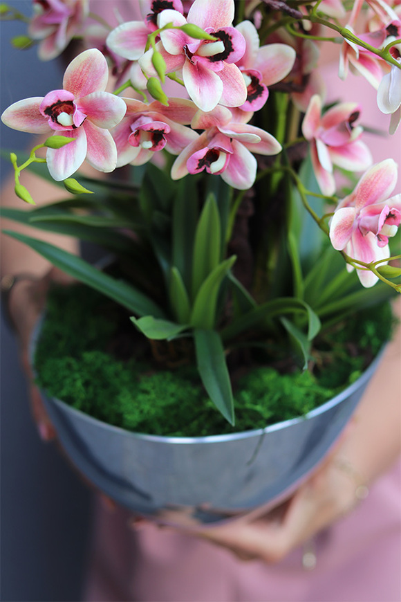 Pink Gerrata, sztuczny gumowy storczyk w srebrnej misie