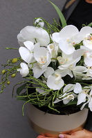 Izydoria, wysokiej jakości sztuczny storczyk, wym.42cm