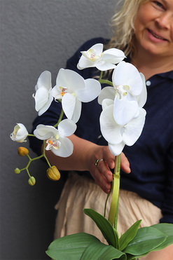 White Berlin, elegancki sztuczny storczyk, wys.58cm 