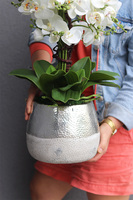 Modern Home Big, sztuczny storczyk w biało-srebrnej osłonce