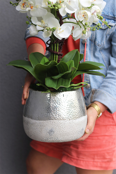 Modern Home Big, sztuczny storczyk w biało-srebrnej osłonce