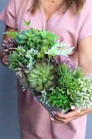 kompozycja Sukulenty Regallo w betonowej donicy