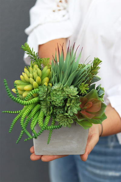 Green Celita B, zielona kompozycja w betonowej donicy