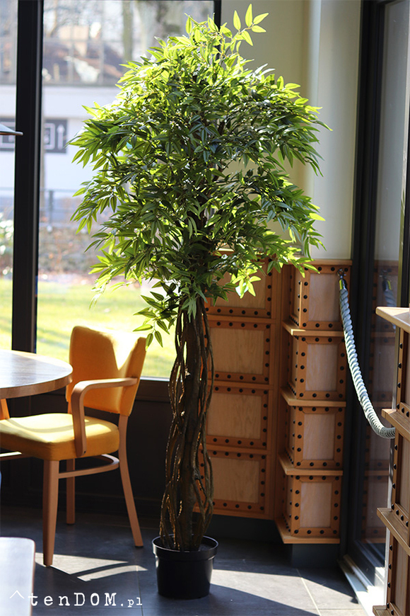 Fikus Benjamin G, sztuczna roślina w doniczce
