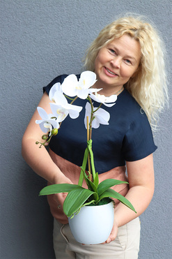 Classico Pure White, śnieżnobiały sztuczny storczyk, wys.50cm