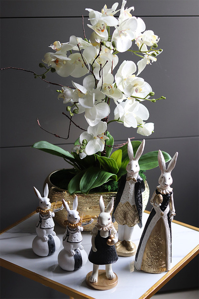 Goldisya Classic, elegancki storczyk w złotej osłonce