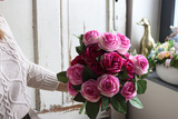 bukiet różowych róż, Rossamano, 21szt, dł.53cm