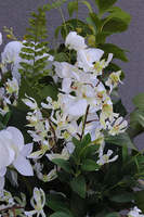 Orchid Monarch, nowoczesny bukiet nagrobny we wkładzie