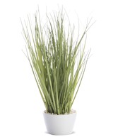 Nicco E, sztuczna trawa w ceramicznej doniczce, wys.25cm