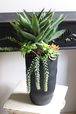 Ravenna, sukulenty w wysokiej donicy, wys.63cm