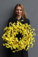 Forsycja, wiosenny wianek na drzwi