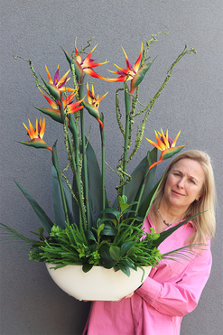 Strelicja Królewska Laos 2, egzotyczna kompozycja w donicy, wys.103cm