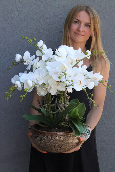 Ceramic House 2, sztuczny storczyk w ozdobnej misie