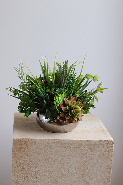 Silver Piano, kompozycja sukulenty w okrągłej donicy