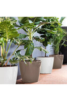 Classico, elegancka donica z nawadnianiem