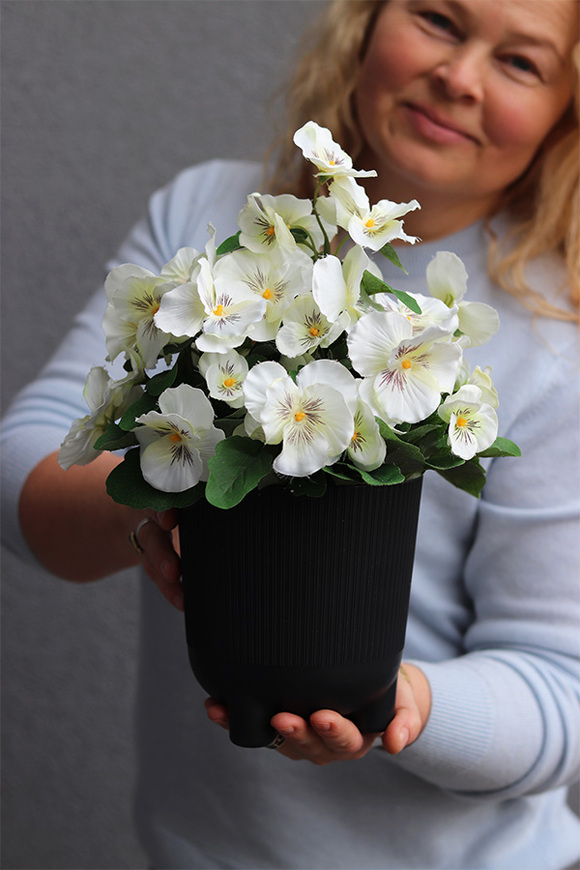 Bratki, białe bratki w naczyniu na nóżkach