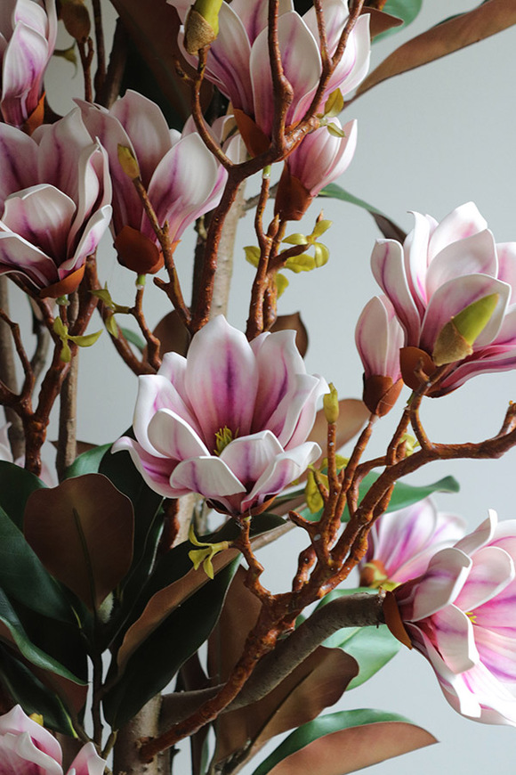 Magnolia Silveria, sztuczne drzewko w donicy