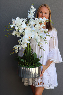 Nullina Silver Tresta 2, sztuczny storczyk w lustrzanej misie, wys.87cm