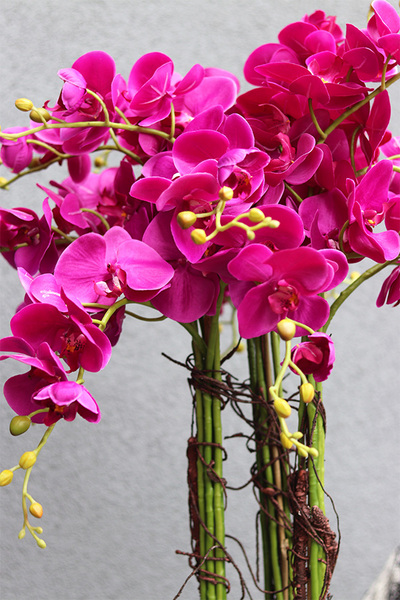 Gizelle Fuksja, wysoki sztuczny storczyk w białej donicy