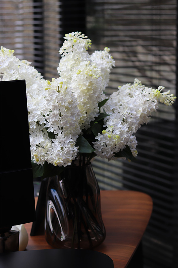 Bzy Deluxe Premium, gumowy bez kwitnący lilak