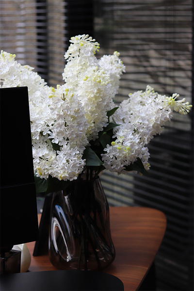 Bzy Deluxe Premium, gumowy bez kwitnący lilak