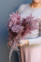 Pampasy Pink Long, bukiet suszonych traw