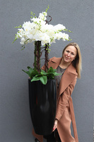 Black Fiberglass Silicone, gumowy storczyk w czarnej donicy z fiberglass, wys.122cm 