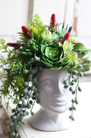 efektowna kompozycja sukulenty w głowie, Crazy Head White 2, wys.28cm