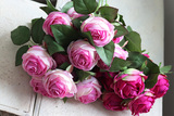 bukiet różowych róż, Rossamano, 21szt, dł.53cm
