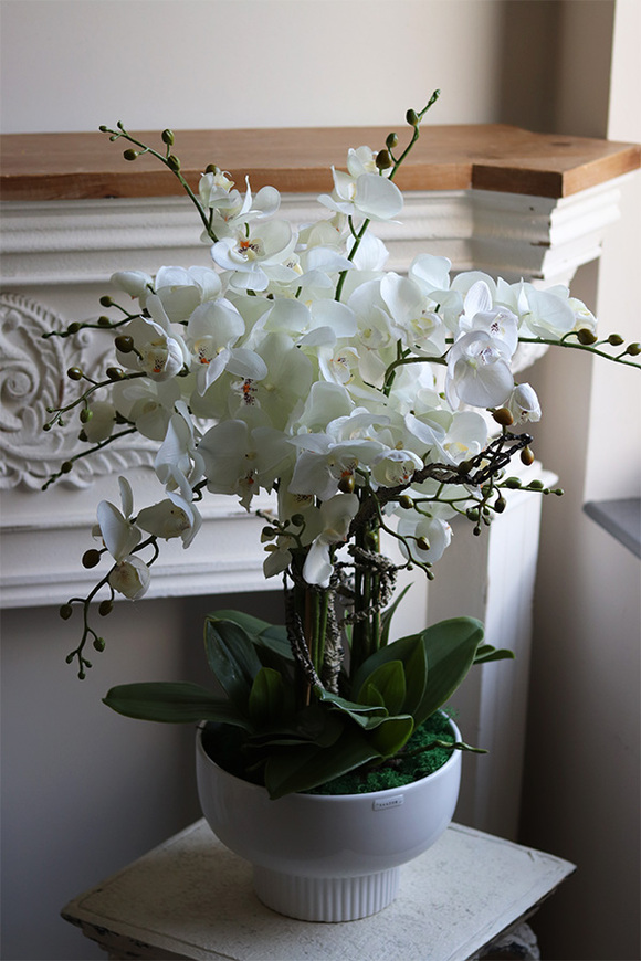 Japandi Orchid, sztuczny storczyk w ceramicznym pucharze