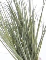 Nicco E, sztuczna trawa w ceramicznej doniczce, wys.25cm
