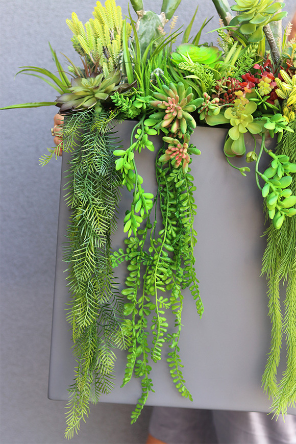 Cacti Grey Fiberglass 2, sukulenty ze kaktusem w szarej donicy