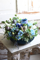 Naturiosa Cecile Small, niebieska kompozycja w szklanej misie, wym.16x38cm 