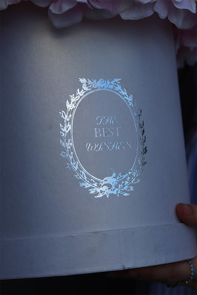 Romantica, flowerbox z różowymi hortensjami