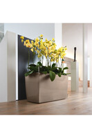 Cararo, donica na kółkach z nawadnianiem, taupe