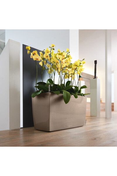 Cararo, donica na kółkach z nawadnianiem, taupe