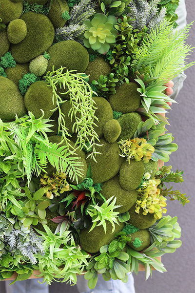 Sukulenty Green Forest 2, atrakcyjna jednostronna rama