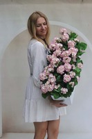 Summer Balcony Pink 2, różowe pelargonie w skrzynce balkonowej