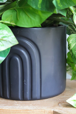 Hoja Black Moment, sztuczna roślina w czarnej donicy, wys.35/60cm