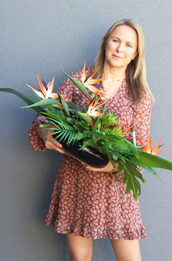 Strelicja Hotelia, podłużna kompozycja w misie, wym.40x95x49cm