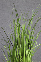 Traviata Basket, sztuczna trawa w koszu