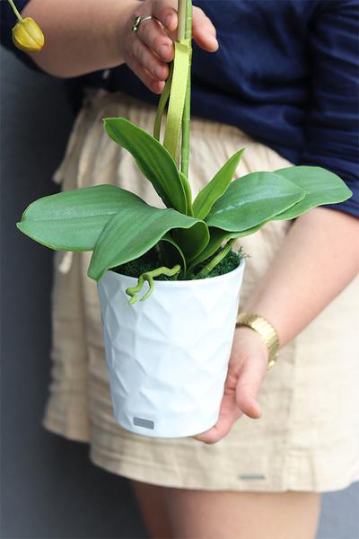 White Berlin, elegancki sztuczny storczyk