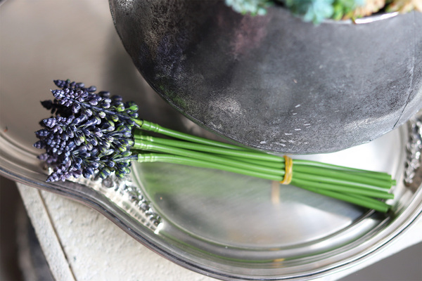 Szafirki, bukiecik turkus