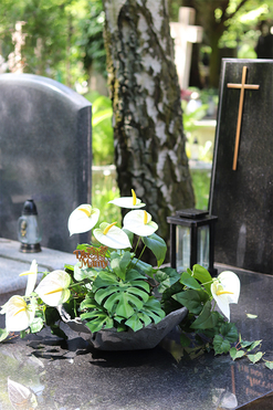 Anturium Volcan White, nowoczesna kompozycja nagrobna z dedykacją, wym.42x70cm 